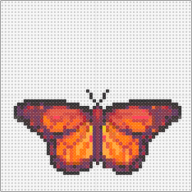 Butterfly (orange) - butterfly,fiery,insect,moth,nature,flutter,wings,delicate,vibrant,orange