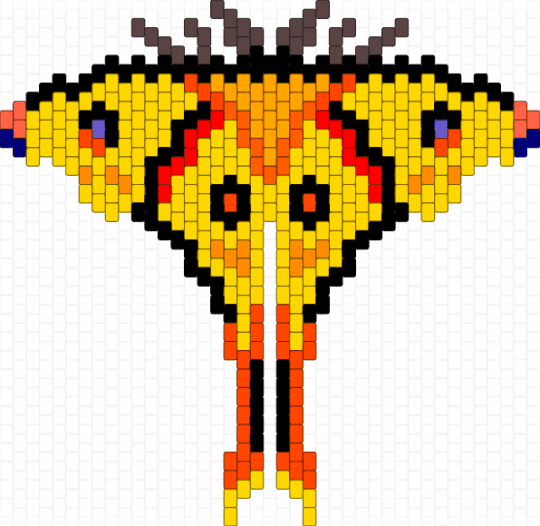 Madagascan Comet Moth - red,yellow