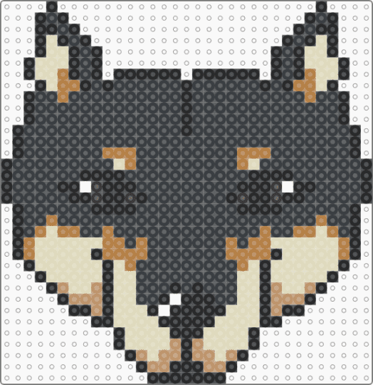 black and tan shiba inu - black,beige