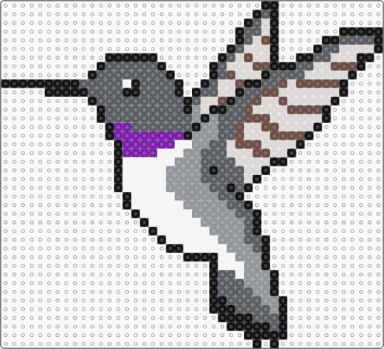 Project Black-Chinned Hummingbird - gray