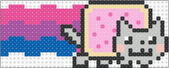 Nyan cat (bi) - pink
