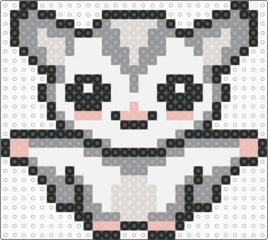 flying squirrel - gray,beige,squirrel,animal,flying squirrels,cute