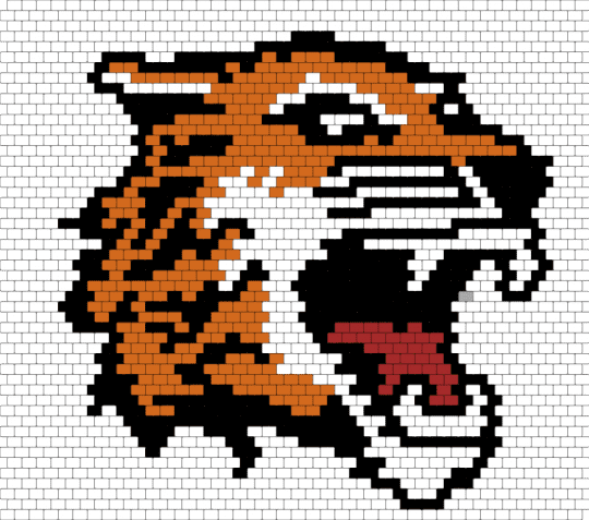 RIT Tiger 2 - white,orange