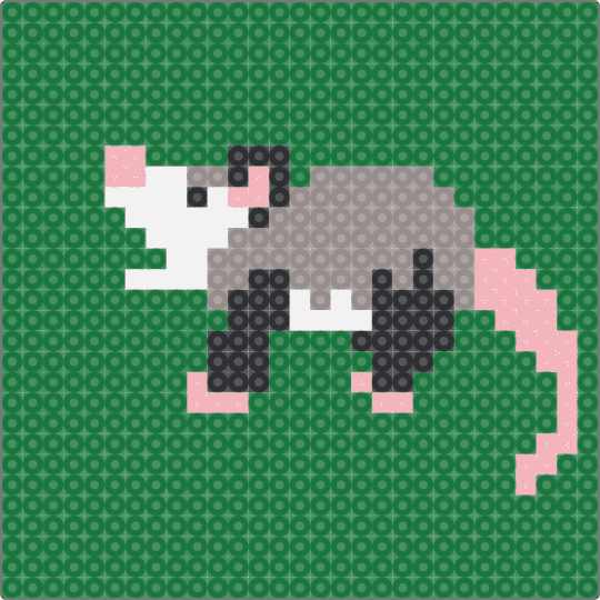 Opossum13 - 