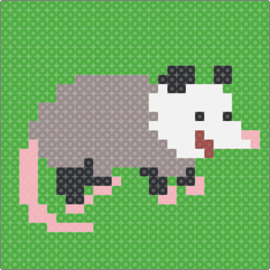 Opossums