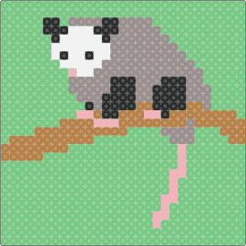 Opossum6 - opossum,rodent,animal,wildlife,gray,green