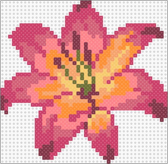 lily - pink,red,orange,flower,lily,floral