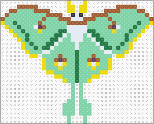 Green Moth - animal, animals, colorful, cute, insect, moth, nature, teal, winged