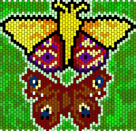 moth panel - butterfly,moth,earth,panel
