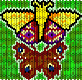 moth panel - moth,butterfly,insect,winged,colorful,nature,panel,yellow,brown,green