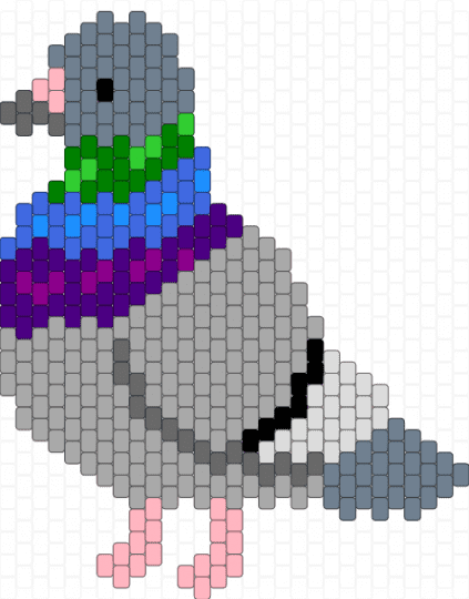 Rock Dove (pigeon) - beige, gray