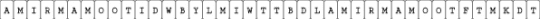Let You Down STOMACH BOOK necklace part four - 