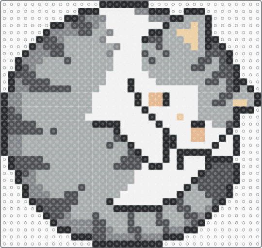 Cat shorthair - gray