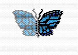 seph - butterfly