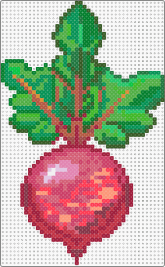 Organic Beet - red,green,cotdorganic,cotdfarming2026,root,vegetable,veggie,beet,farming,crops