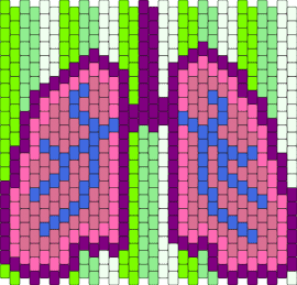 lungs - lungs,anatomy,body,health,pink,green