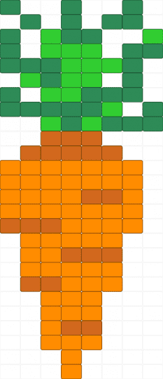Carrot - orange,green,vegetable