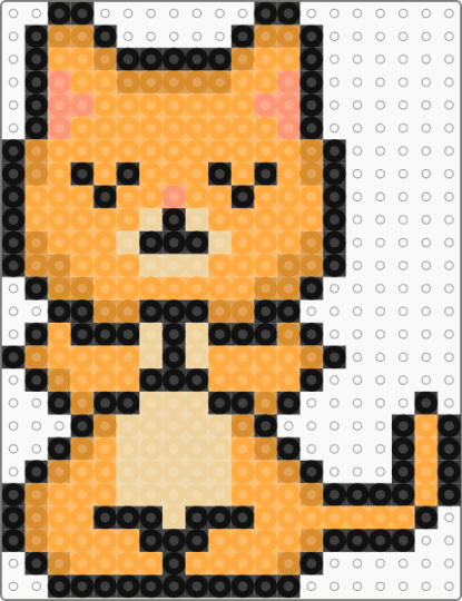 cat 41 - orange