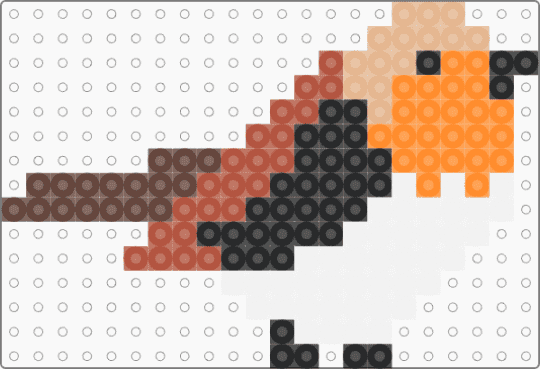 Bird - animal, bird, birdy, cotdforests, orange, red