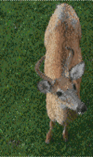 Deer cuz yeh - colorful, deer, gold, gray, green, pannel, rudolph, tan