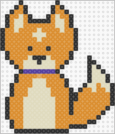 pomeranian - beige, orange