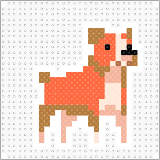 Boxer - orange