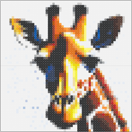 Giraffe - giraffe,animal,safari,portrait,cute,orange,yellow