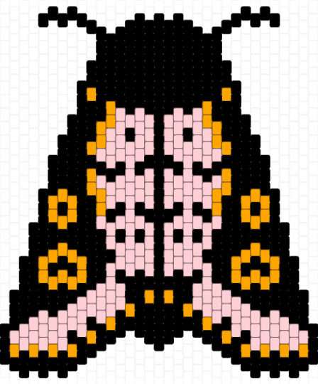 afro/spanish moth - black,orange,beige