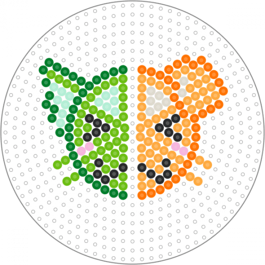 Cat/dog lime/orange slices? - cat, cotdfruit, dog, fruit, green, idk, lime, matching, orange