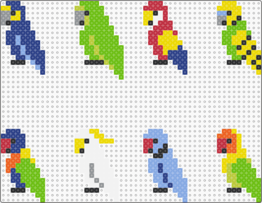parrots :333 - blue, green, yellow