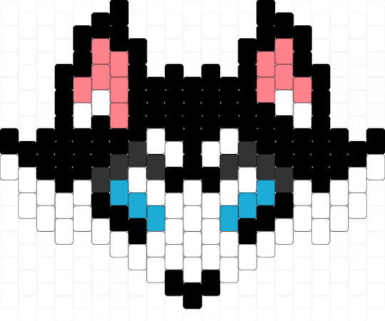 Black & White Husky! - animal, black, cute, dog, fluffy, husky, light blue, red, white