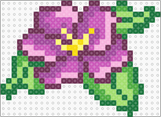purple flower - flower, green, pink, purple