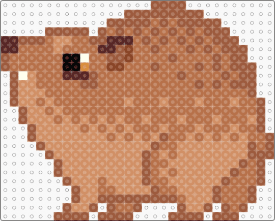 hyrax - animals, hyrax, orange, red, tan