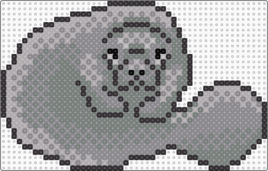 manatee - animal, cute, gray, manatee, sea cow