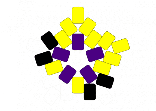 Intersex cat - purple, yellow