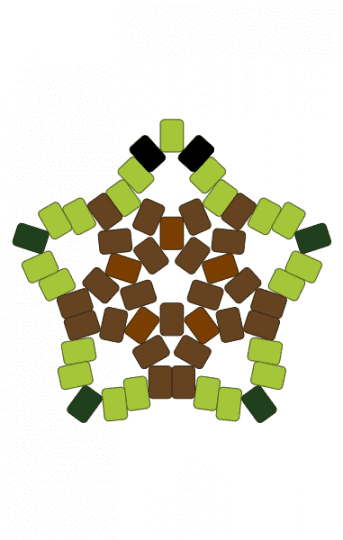 Turtle star - brown, green, turtle