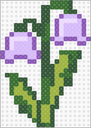 Purple lily of the valley - flower, flowers, lily, lily of the valley, nature, purple