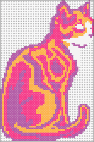 katt - orange, pink