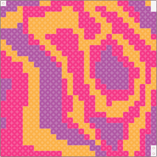 katt fokus - orange, pink
