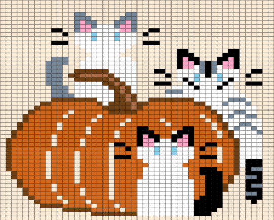 The Catz - cats, halloween, orange, pumpkin, white
