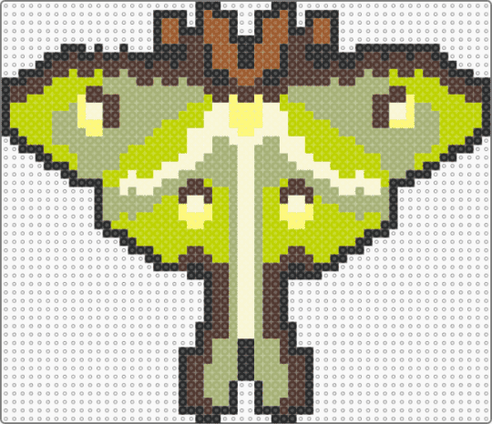Luna Moth Perler - brown, green