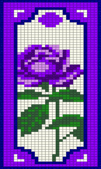 Purple rose - purple