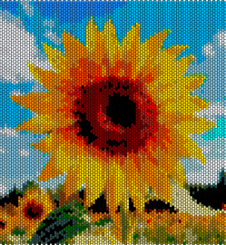 SUNFLOWER - sunflower,summer,nature,panel,blue,yellow,orange