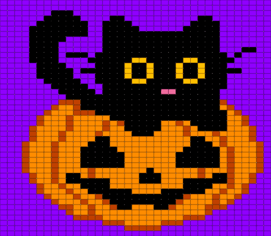 Got my Pumpkin and my Cat - cat, halloween, orange, pumpkin, purple, spooky