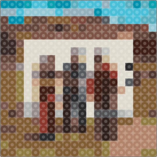 The album - 