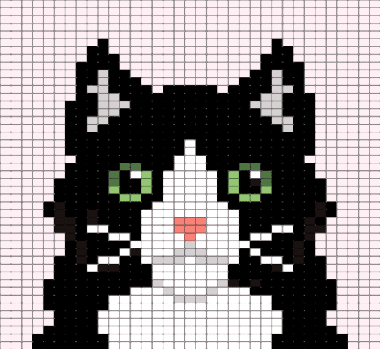Tuxedo cat - green, white