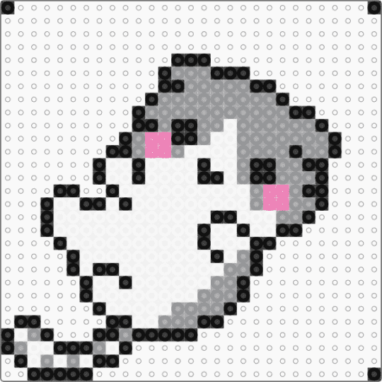 cat 4 - cat,kitten,white,gray