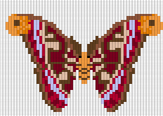 moth - brown, white