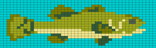Bass - green, light blue