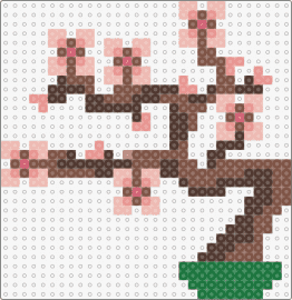sakura bonsai - bonsai,sakura,tree,plant,nature,bloom,brown